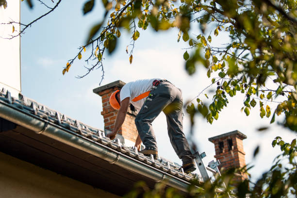 Professional Roofing Contractor in Sandy, UT